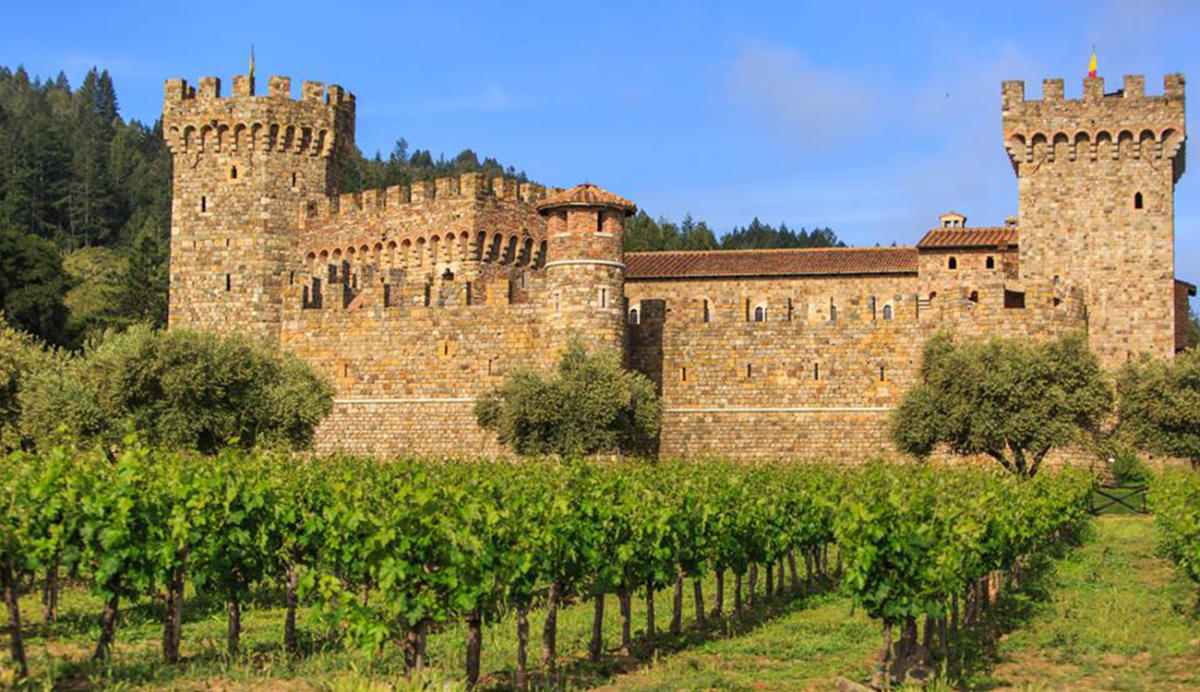 Napa Wine Tours Blog Napa Wine Tours Blog