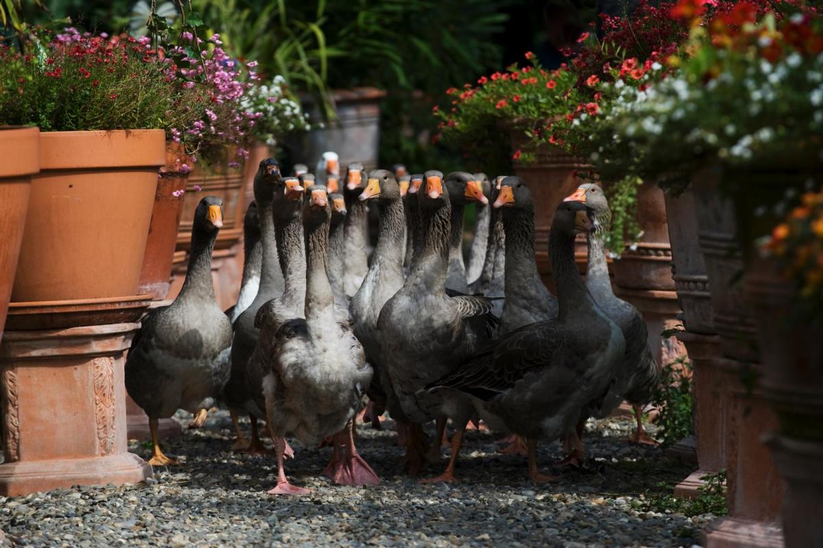 New York's Watchable Wildlife | Natural Habitat and Zoo