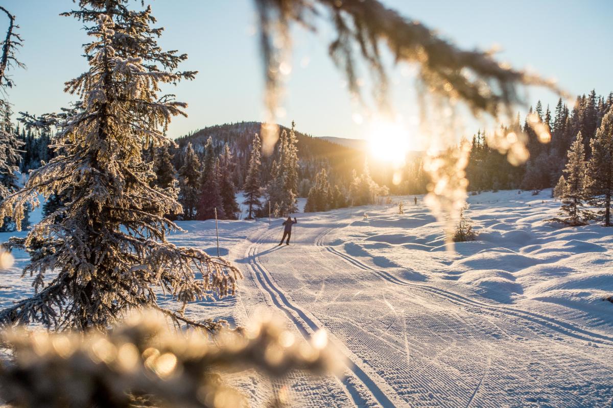 Nesbyen, Norway - Hallingdal valley - Visit Norway