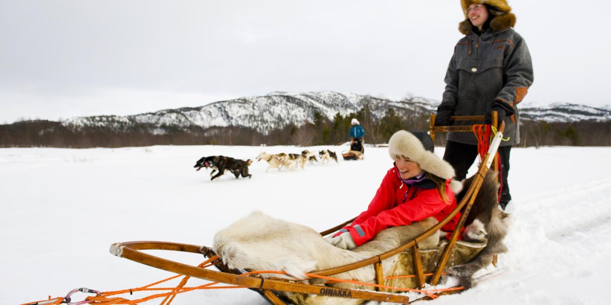 Dog sledding Where to go dog sledding in Norway