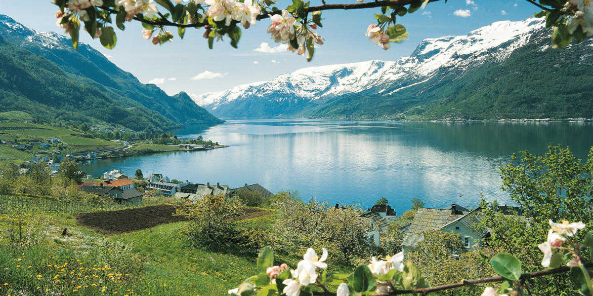 fjord
