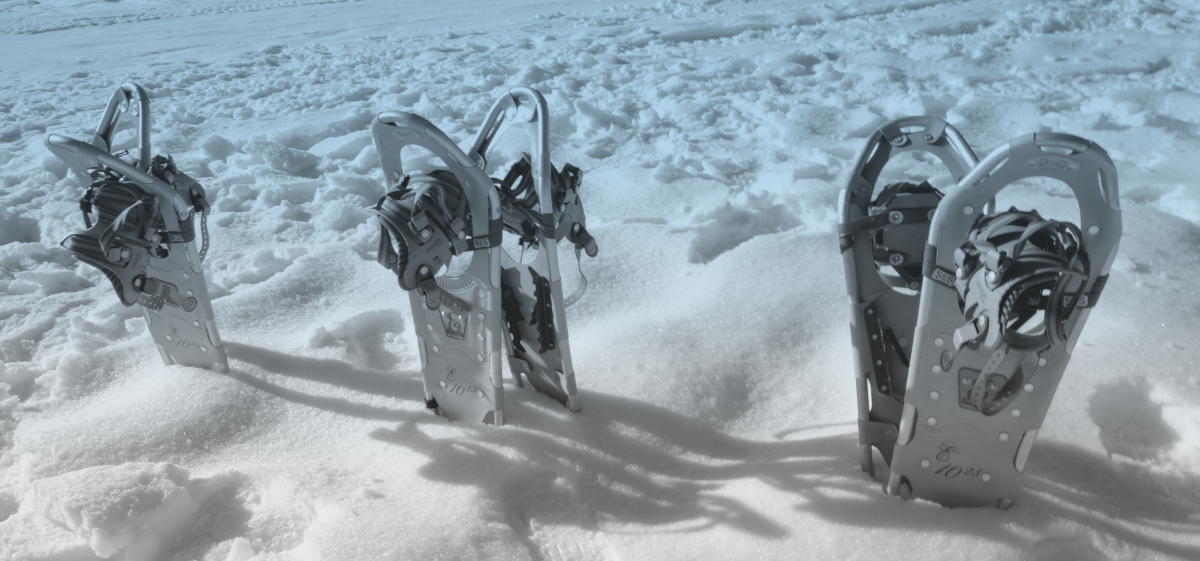 Pocono Mountains Snowshoeing Promised Land State Park