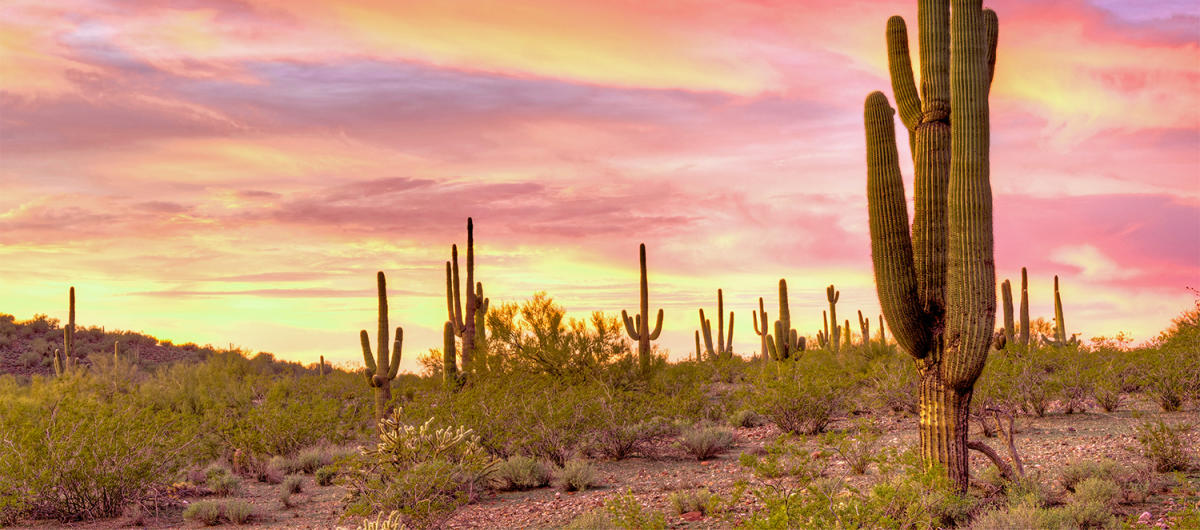 best places to catch a sunset in scottsdale official free e invite