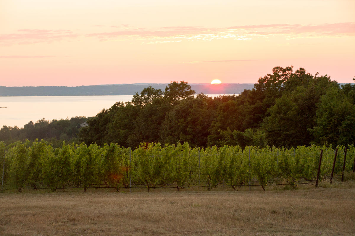 winery tour in traverse city