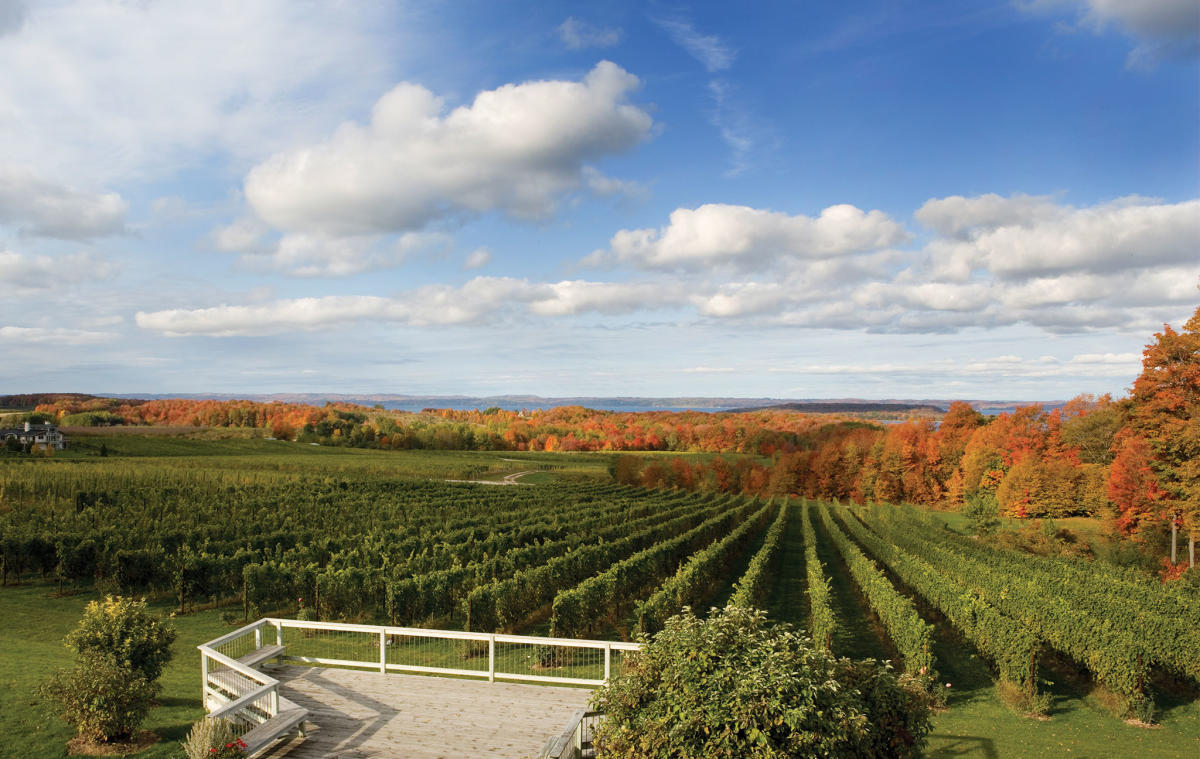 traverse city winery tours