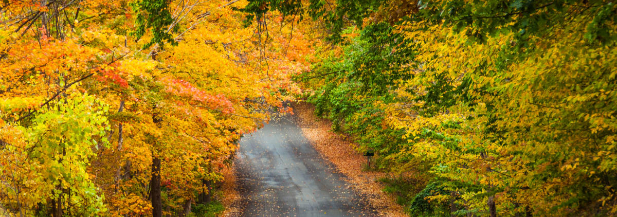 Traverse City Fall Tours | Wine Tours & Fall Color Tours
