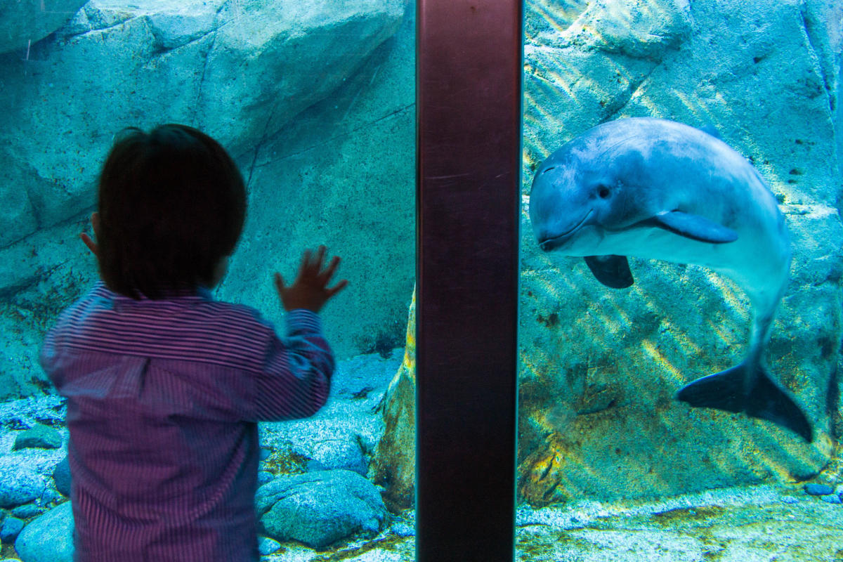 10 Vancouver Must-See Attractions