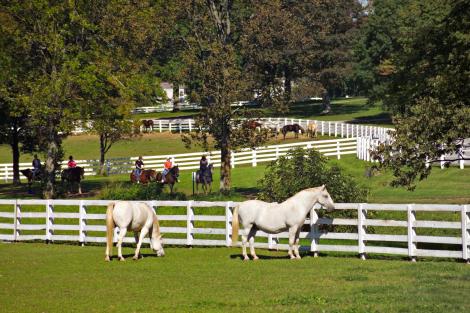 Horseback Riding at the Kentucky Horse Park