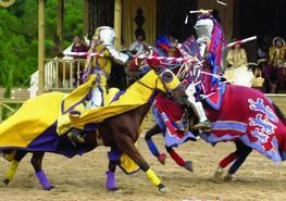 Texas Renaissance Festival Texas Renaissance Festival
