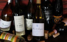 wines wines