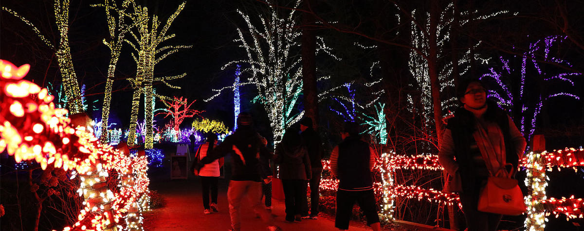 Light Shows Bull Run Festival More Fairfax County Va