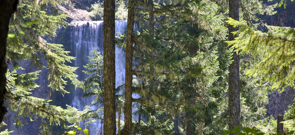 Salt Creek Falls Eugene Cascades Amp Oregon Coast
