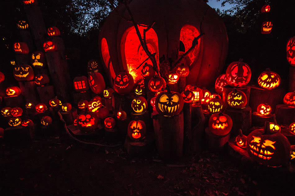 Halloween in Providence, RI | Ghost Tours & Jack-O-Lanterns