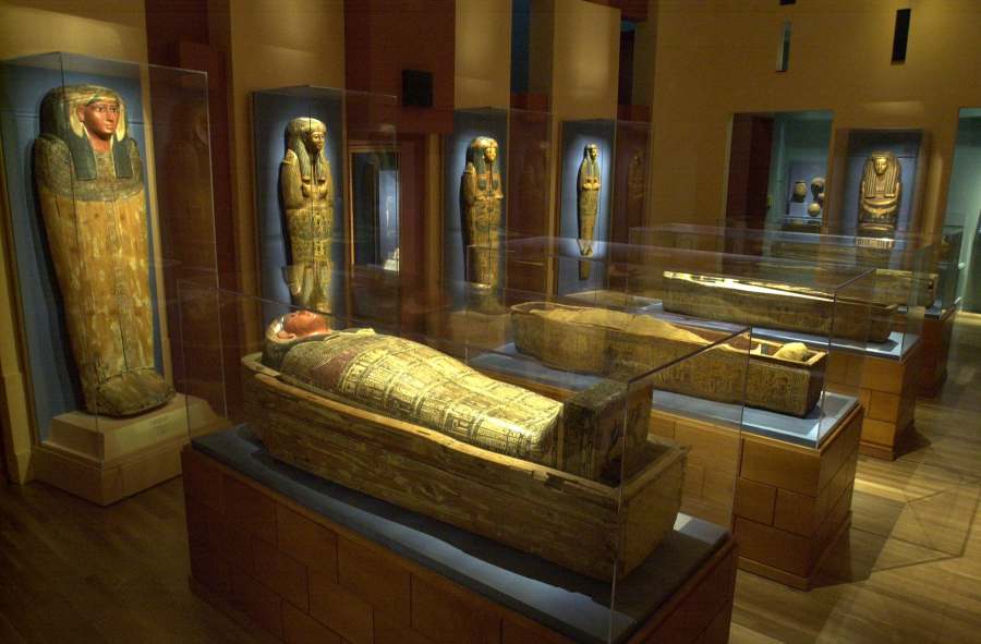 Michael C. Carlos Museum about image