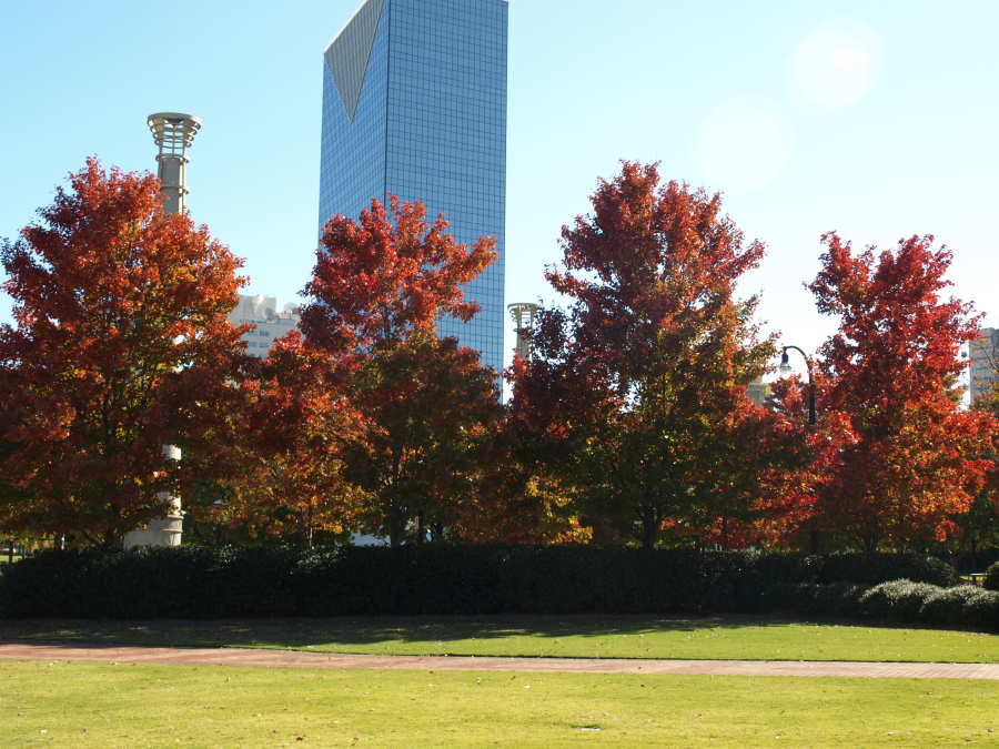 Centennial Olympic Park about image