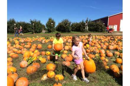 grand rapids fall activities grand rapids fall events fall fun