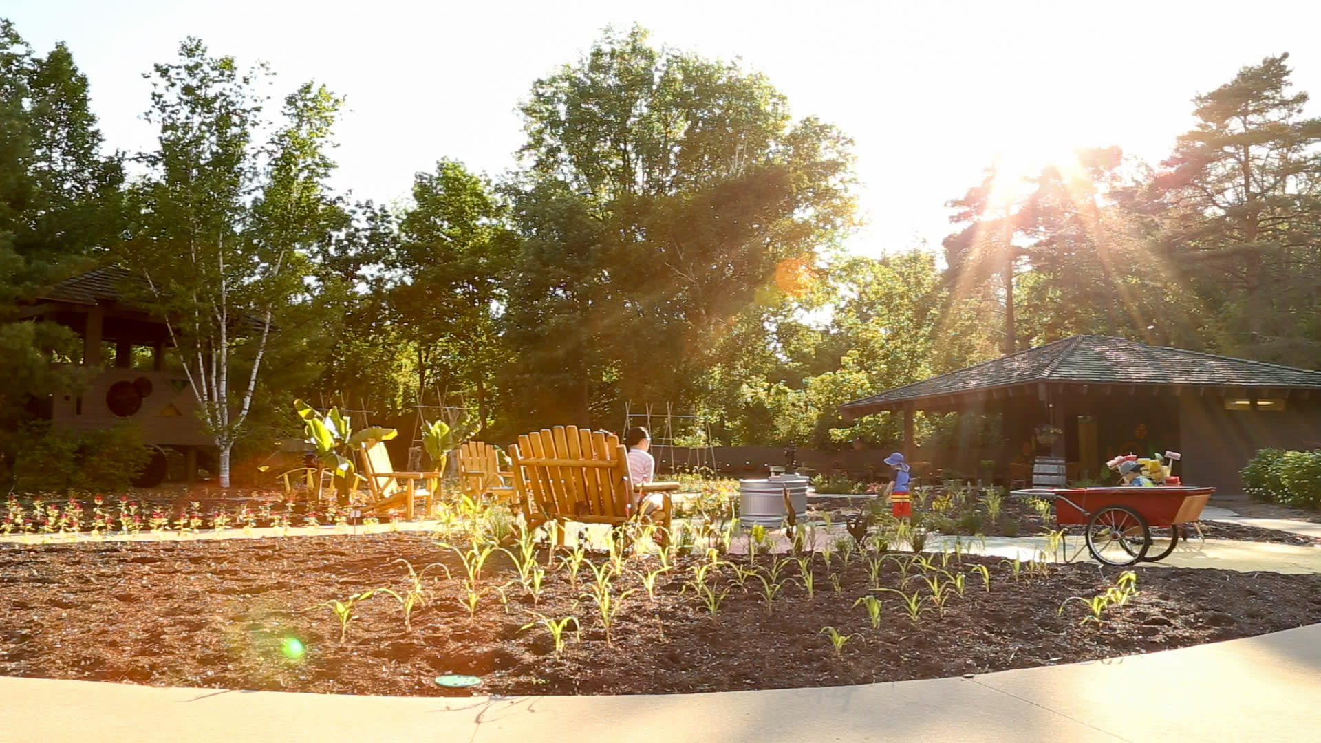 Dow Gardens Midland, MI 48640 Arts Activities