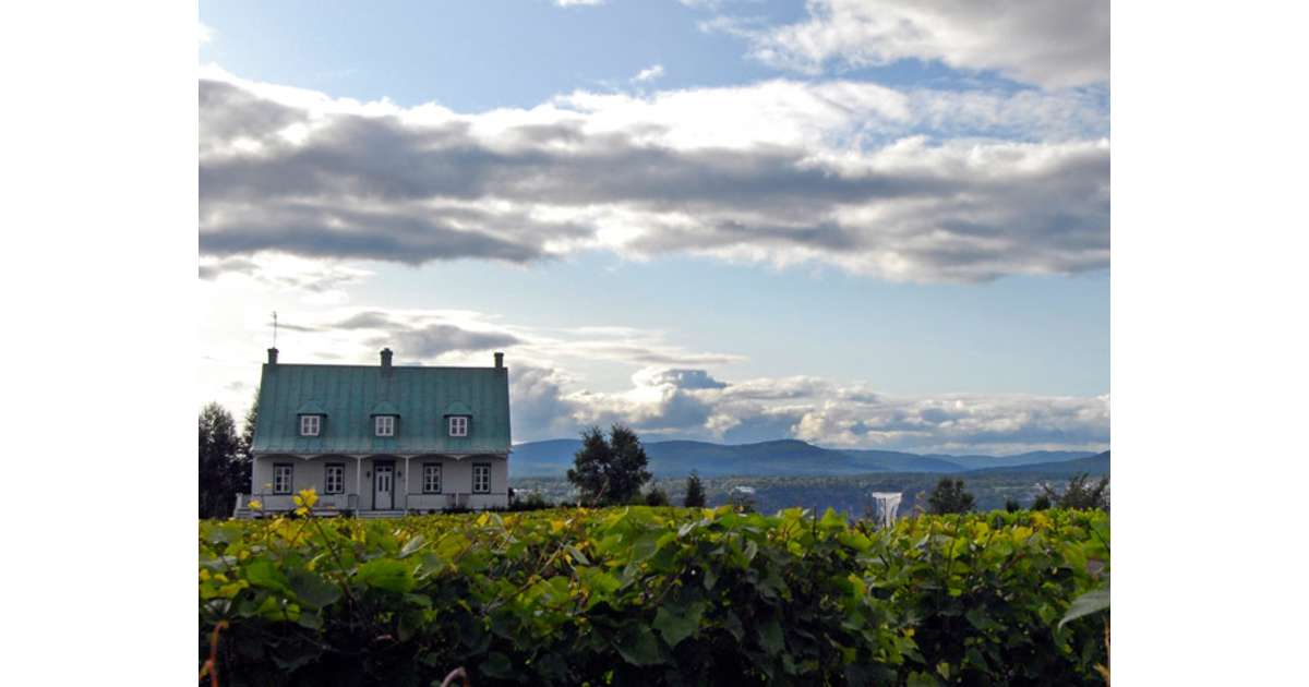Vignoble StePétronille Regional Delights Quebec City and Area Vignoble StePétronille Regional Delights Quebec City and Area
