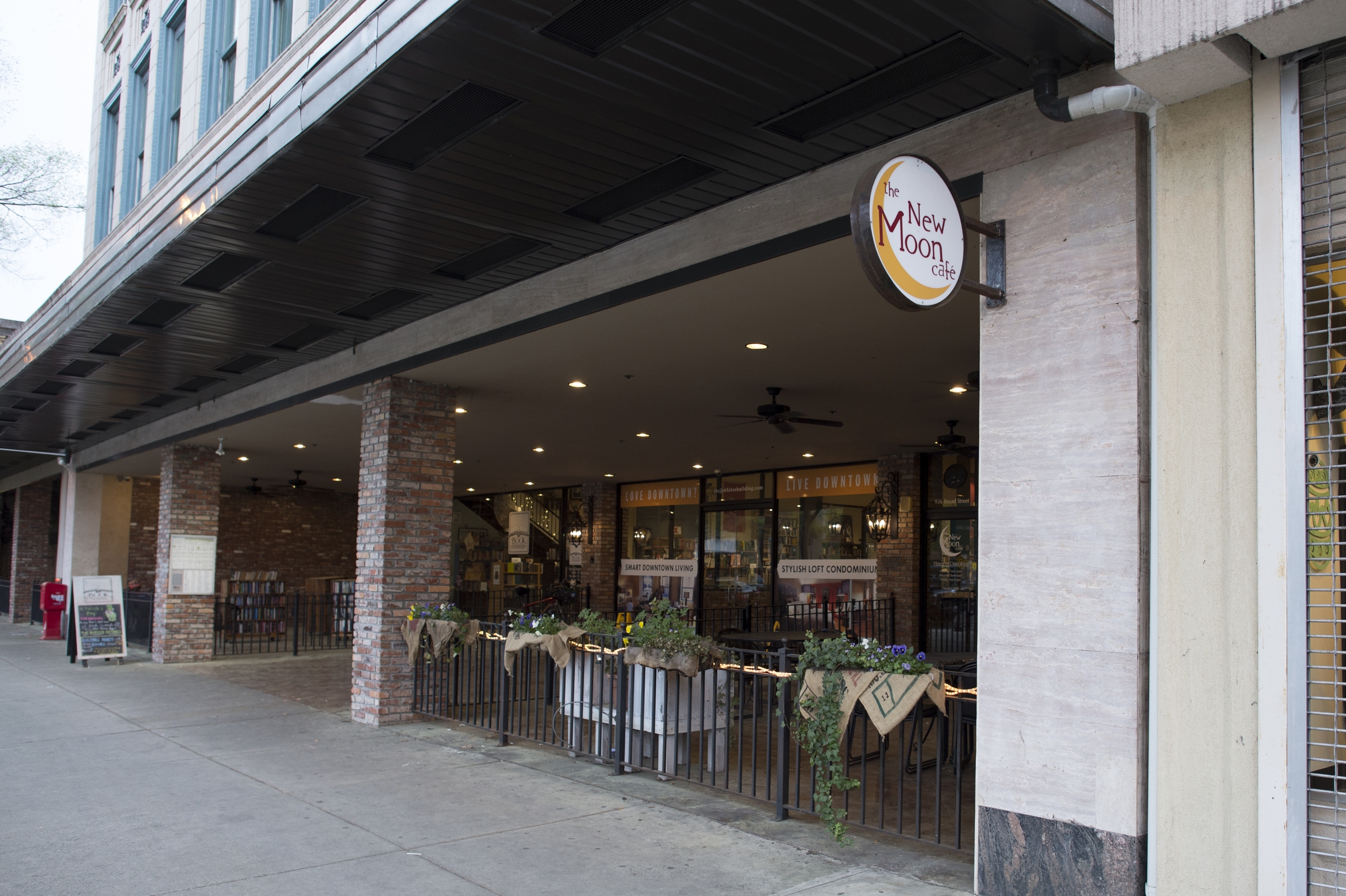 The new moon cafe