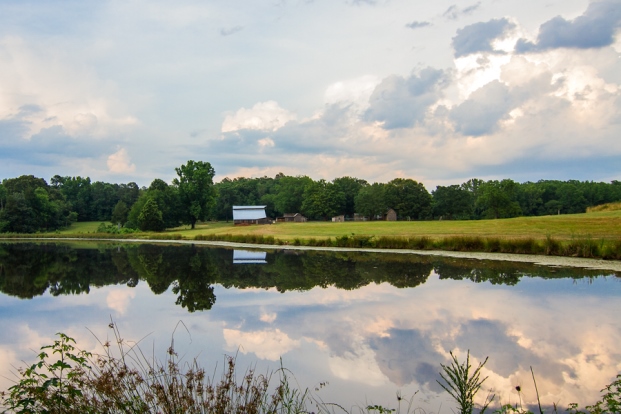 Blackwood Farm Park Blackwood Farm Pond