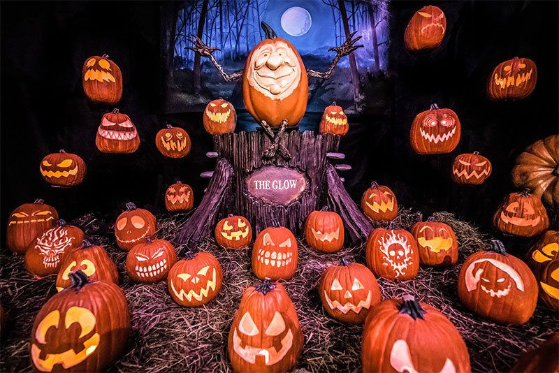 the glow a jack o lantern experience
