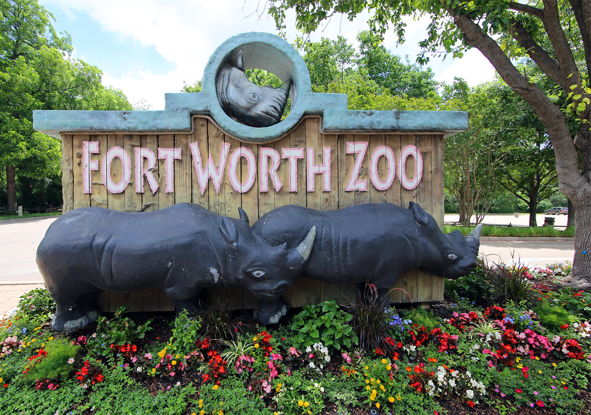 The Fort Worth Zoo in Fort Worth Haigood & Campbell