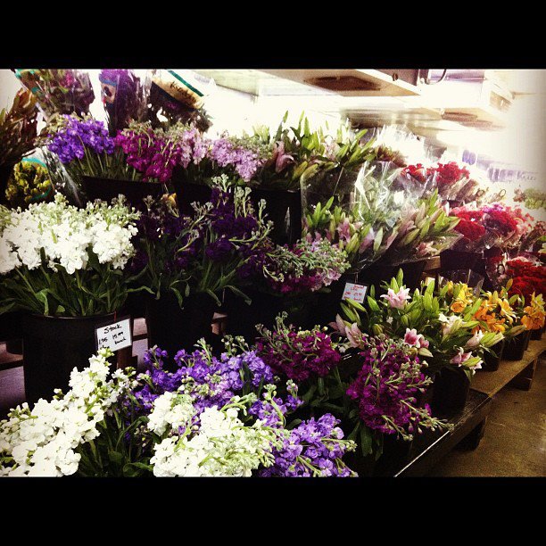 Flowers Fort Worth 7th Street - The Best Flower In 2017 Flowers Fort Worth 7th Street - The Best Flower In 2017