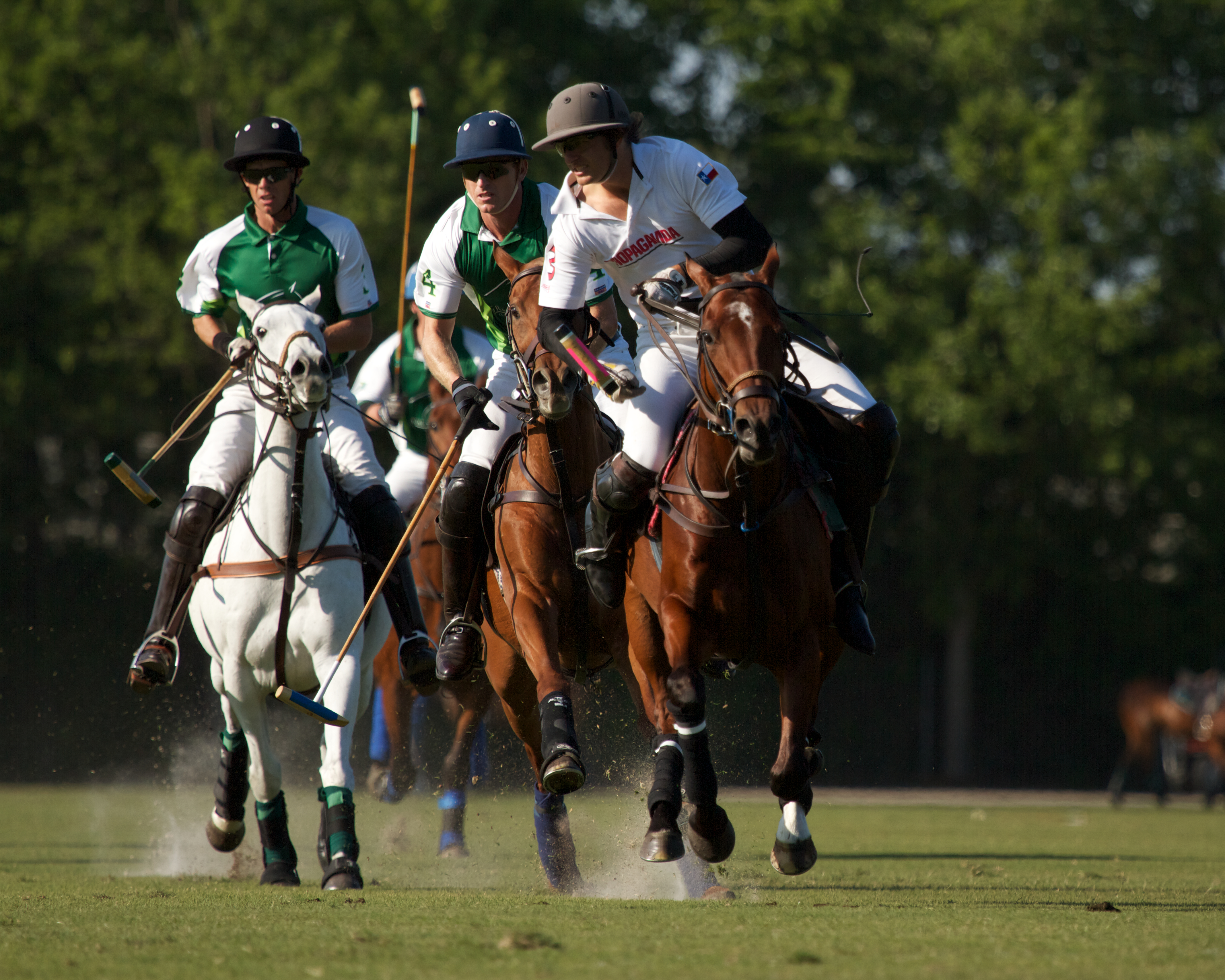 2019 year lifestyle- Polo houston club what to wear 2019 year for lady- Polo houston club what to wear