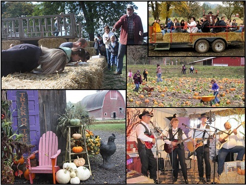 northern lights christmas tree farm colonial harvest days activities - Northern Lights Christmas Tree Farm northern lights christmas tree farm colonial harvest days activities - Northern Lights Christmas Tree Farm