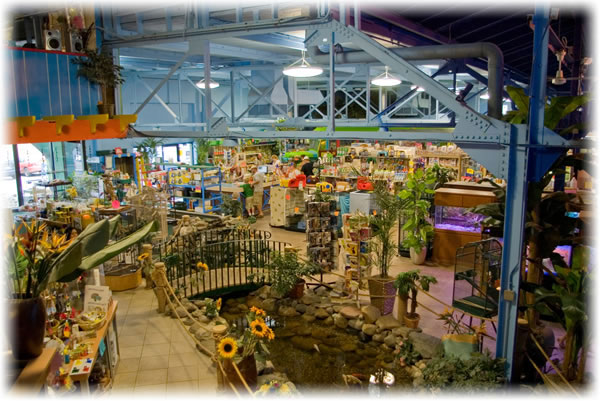 pet store lansing mi pet store lansing mi