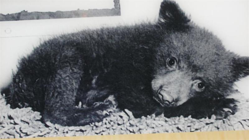 smokey bear historical park