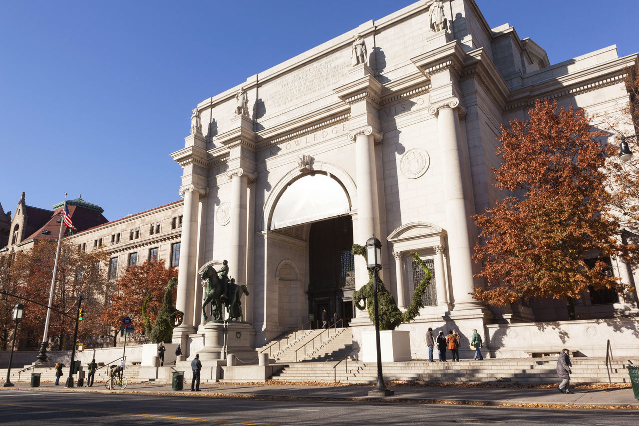 American Museum Of National History ACTNCI American Museum Of National History ACTNCI