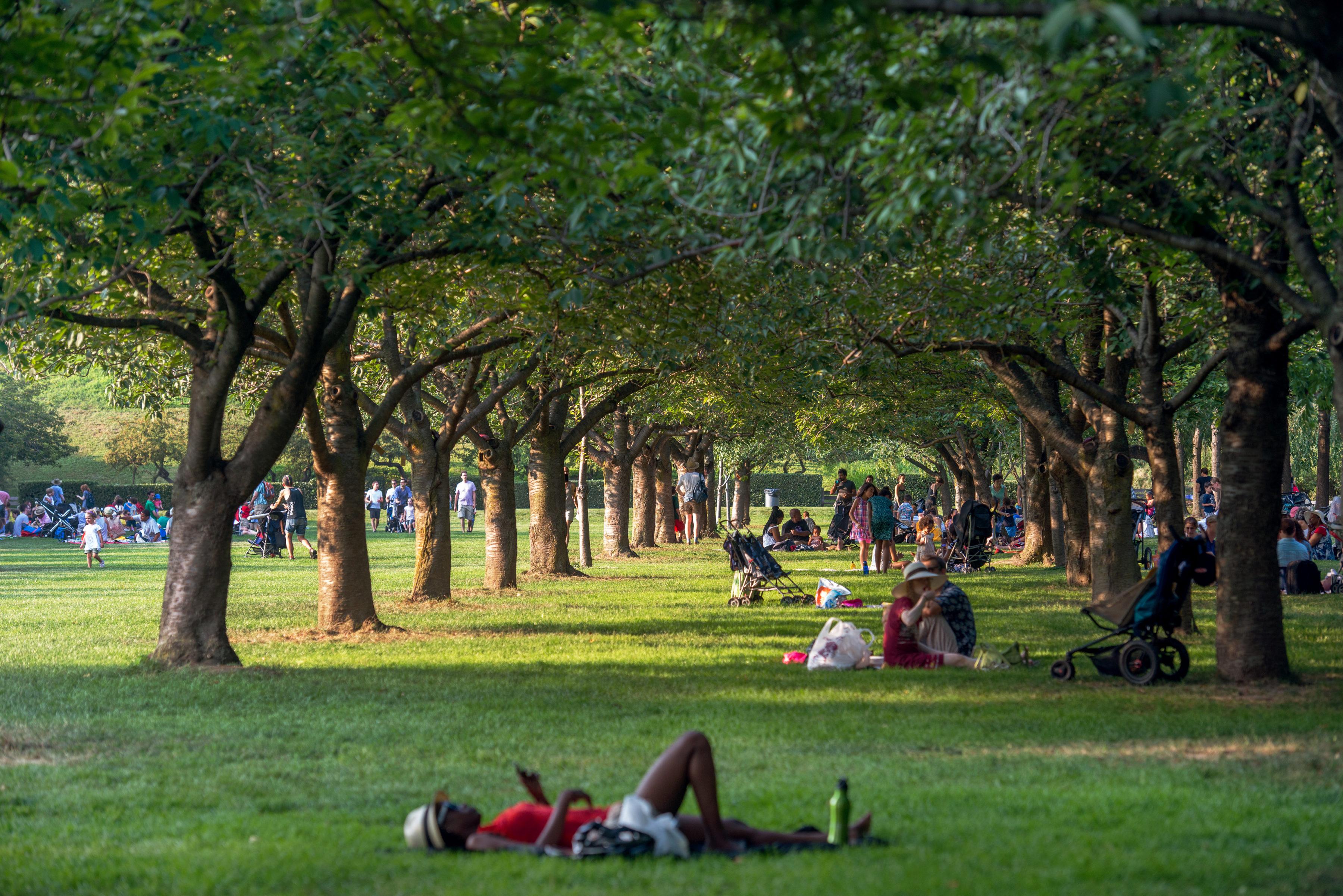 brooklyn botanic garden