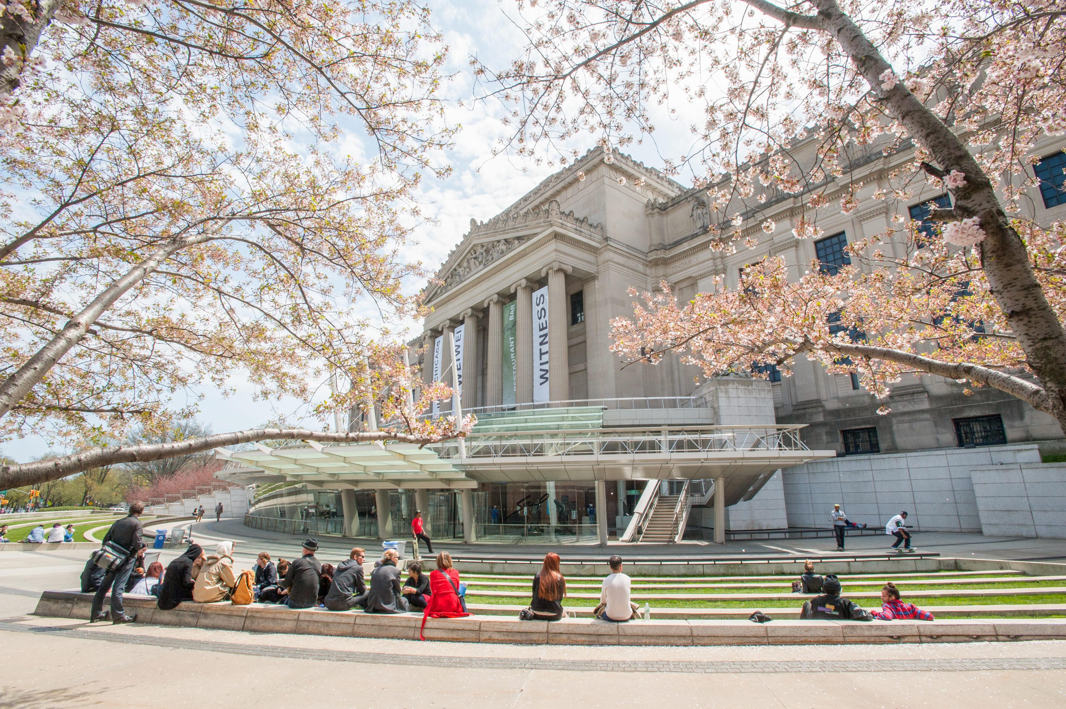 brooklyn-museum-brooklyn-ny-11238-new-york-path-through-history