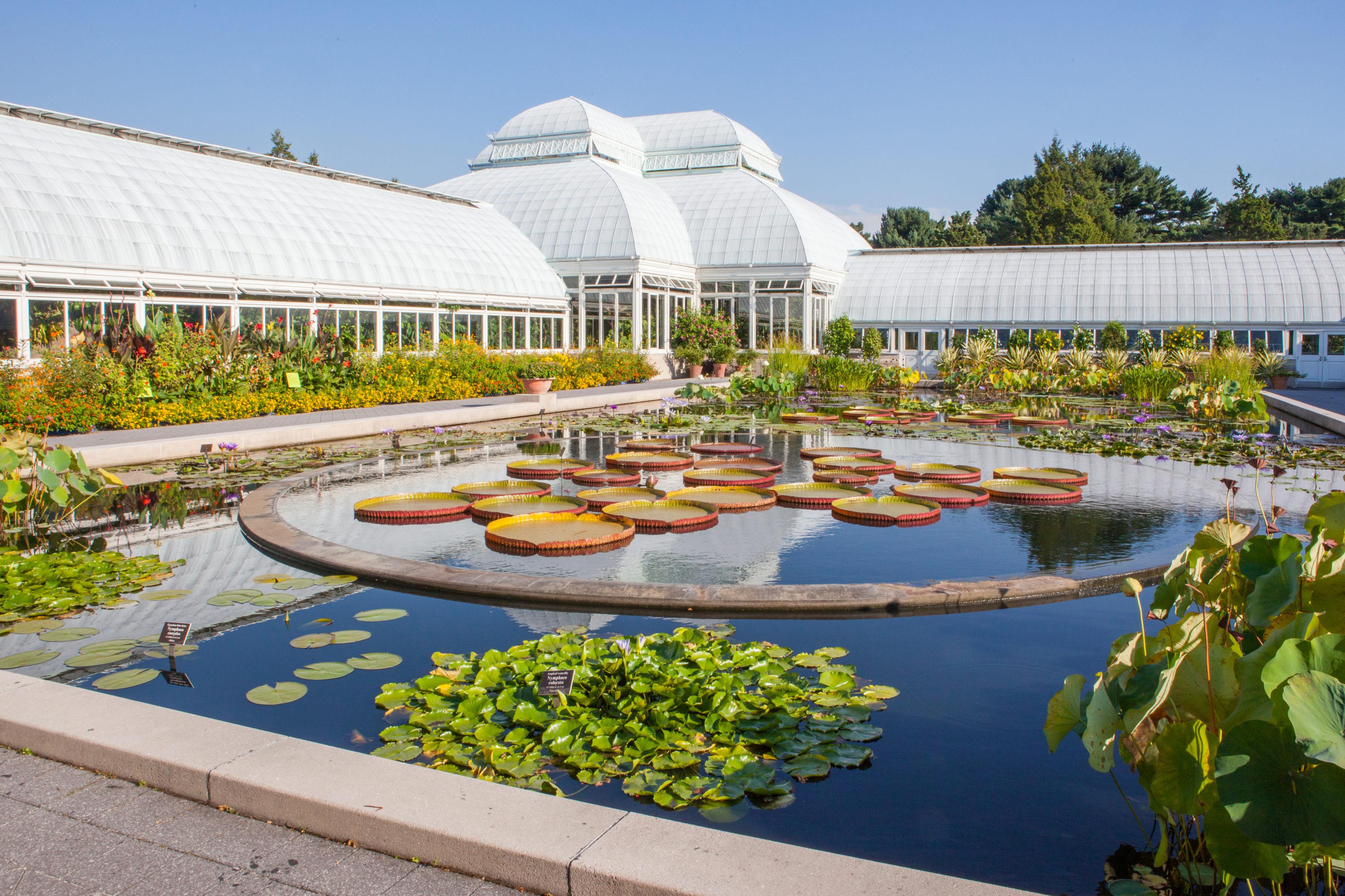 new york botanical garden research