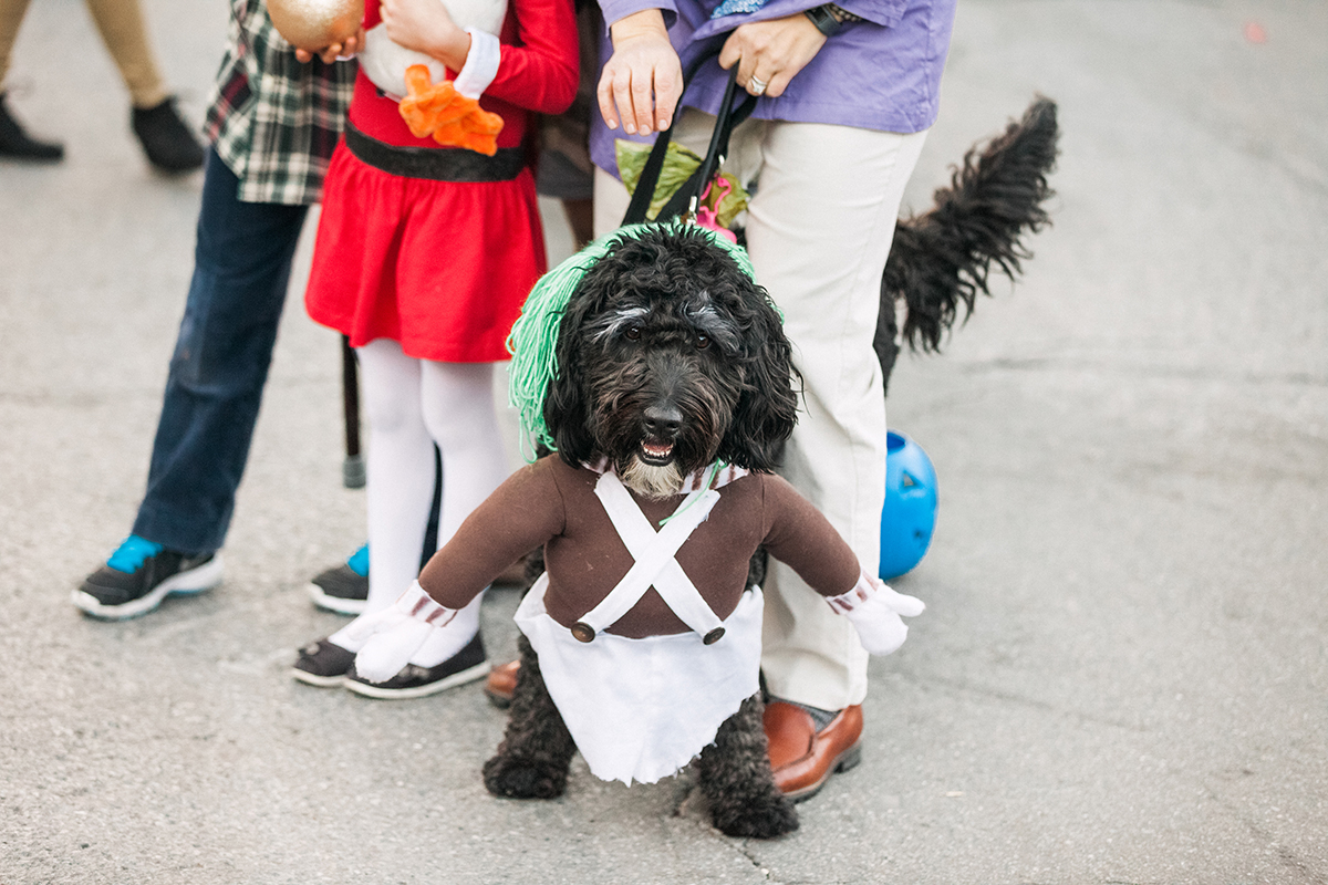 howl o ween on historic main street