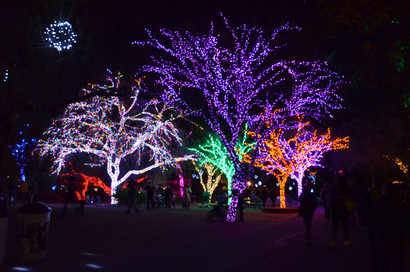 zoolights christmas in phoenix