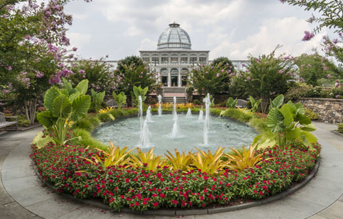 facility rental and conservatory_ab48570c 5056 a36a 0923f81c33fe2217jpg - Lewis Ginter Botanical Garden facility rental and conservatory_ab48570c 5056 a36a 0923f81c33fe2217jpg - Lewis Ginter Botanical Garden