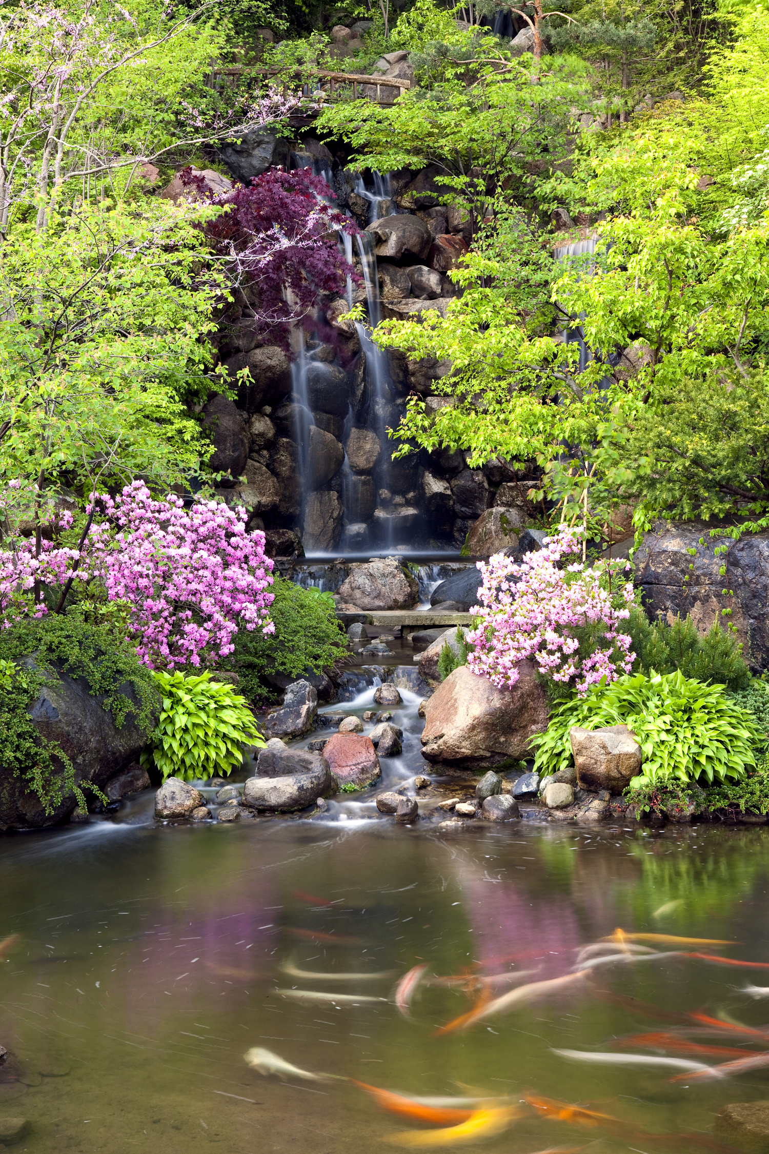 Japanese Garden anderson japanese gardens Japanese Garden anderson japanese gardens