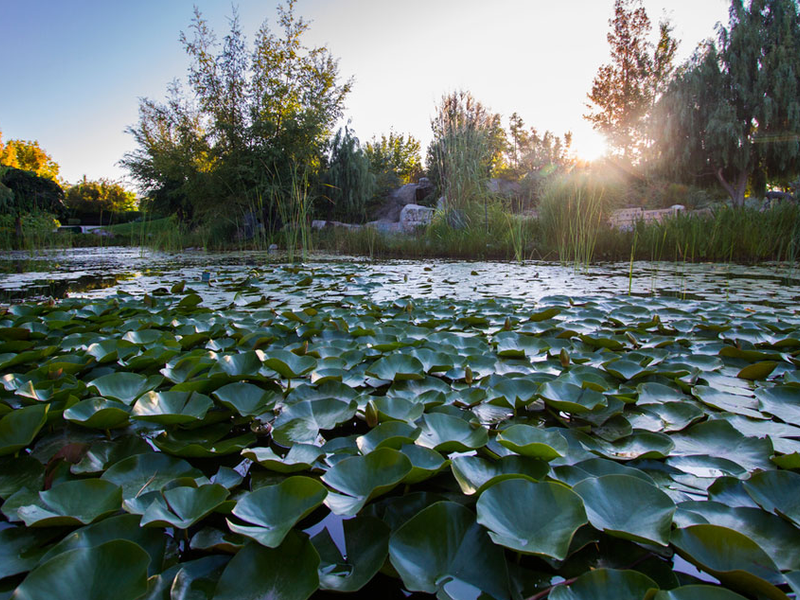Thanksgiving Point Lehi, UT 84043 Zoos & Gardens in Salt Lake City