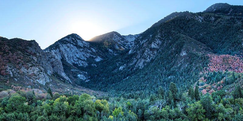 Bell's Canyon Trail Hike  Sandy, UT 84092  Hiking & Biking in Salt Lake City