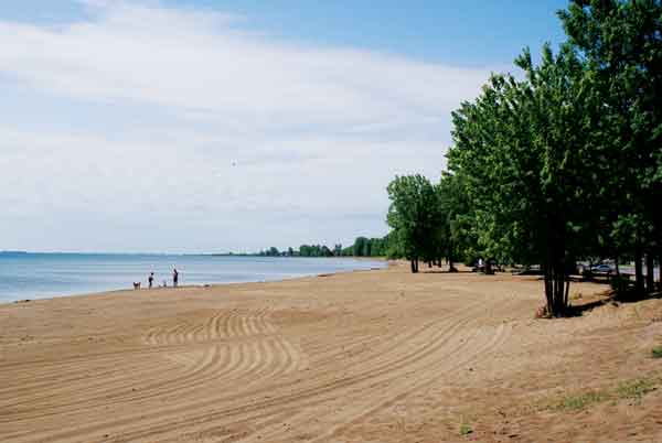 Beach View Cottages