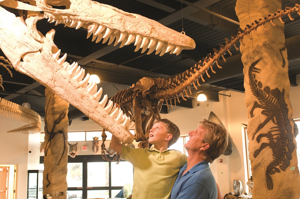the dinosaur store