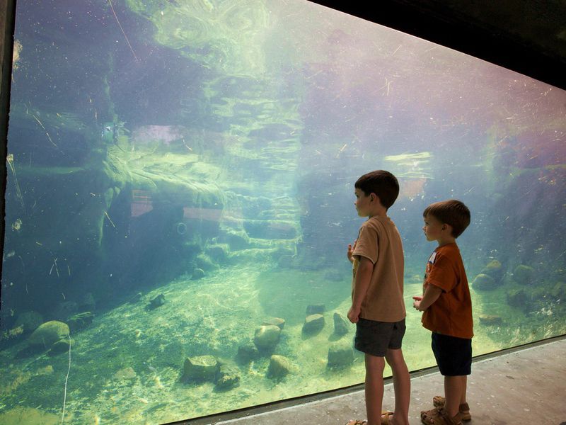rosamond gifford zoo at burnet park