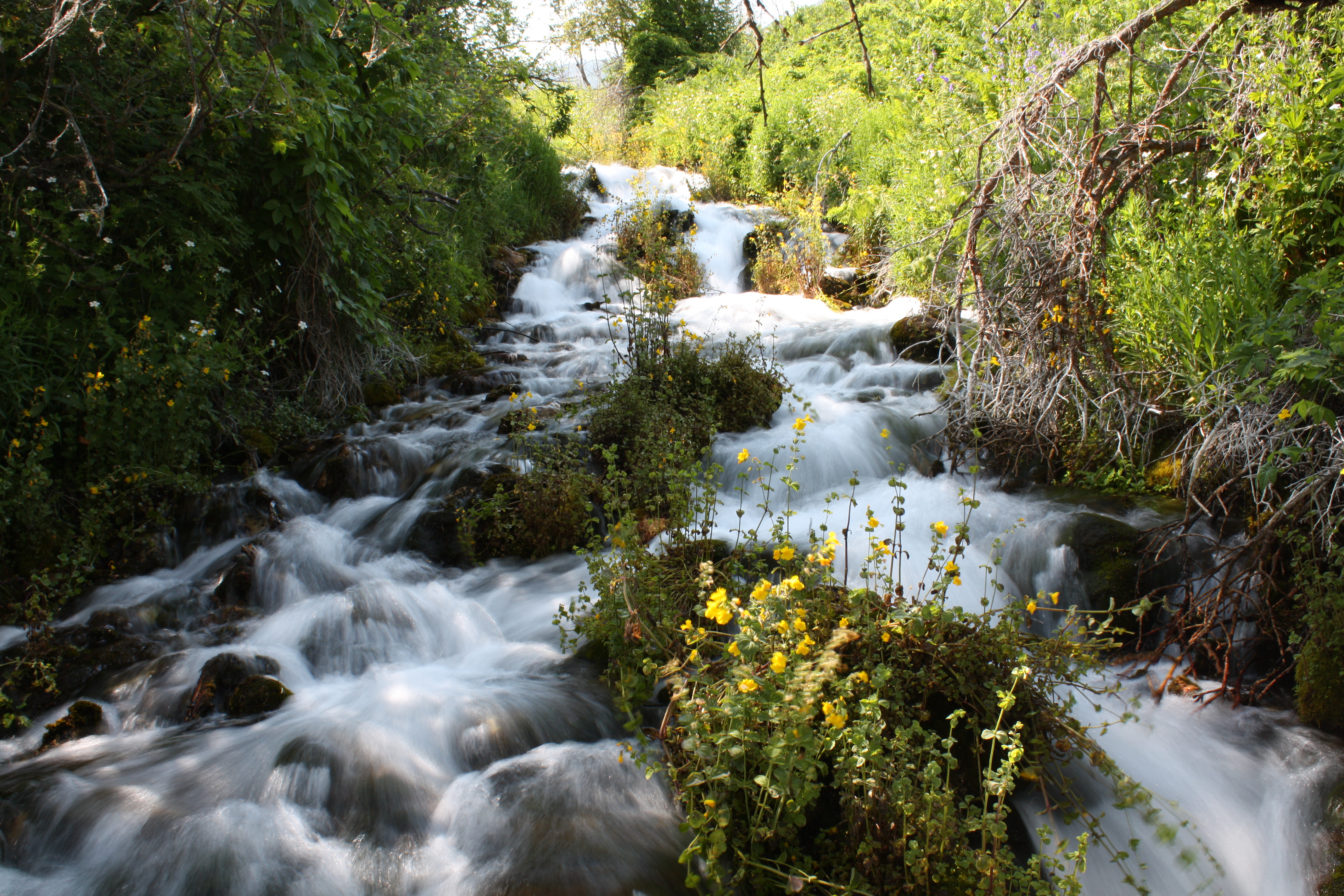 cascade springs