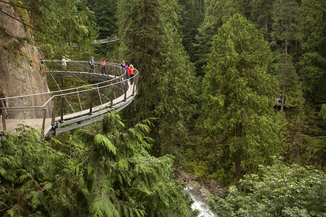 Image result for Capilano Suspension