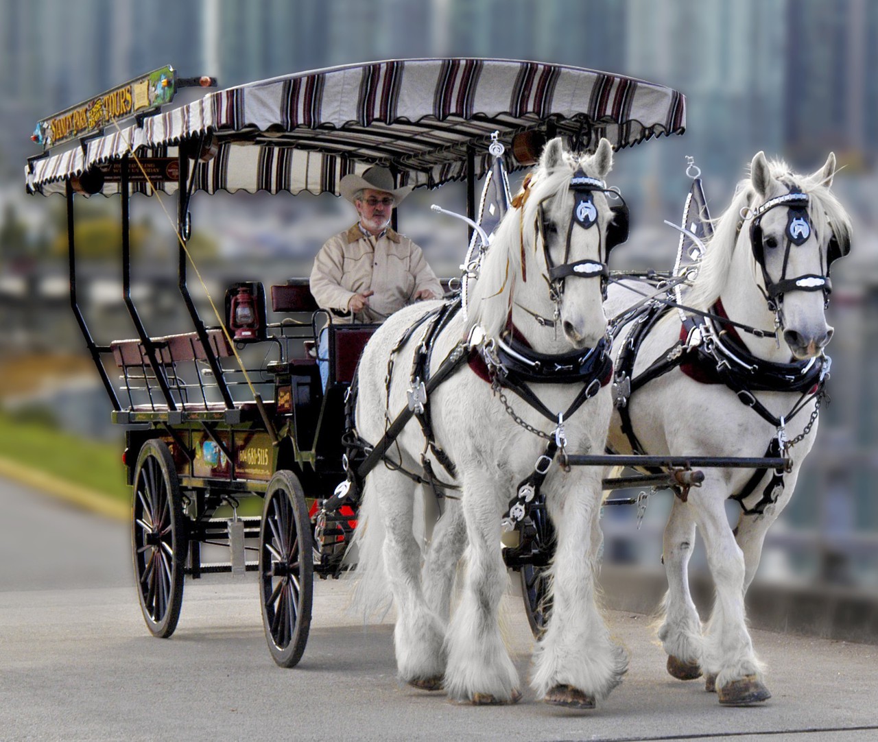 stanley park horse drawn tours