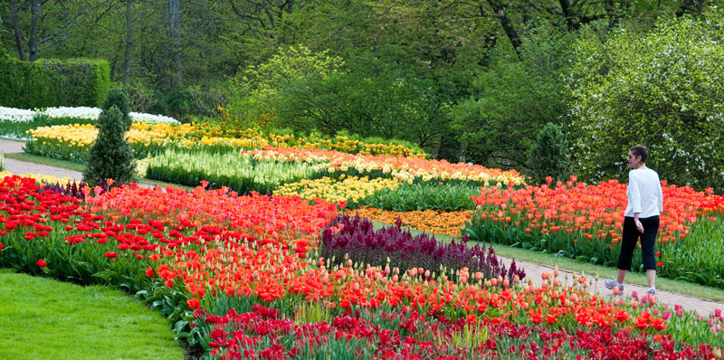 Longwood Gardens Kennett Square Pa 19348 Longwood Gardens