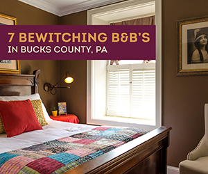 Bewitching B&B's digital ad