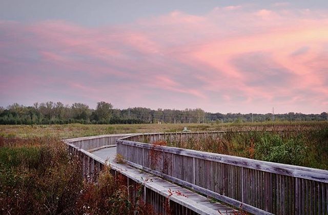 @timzink Fort Wayne Trail Fall Photo